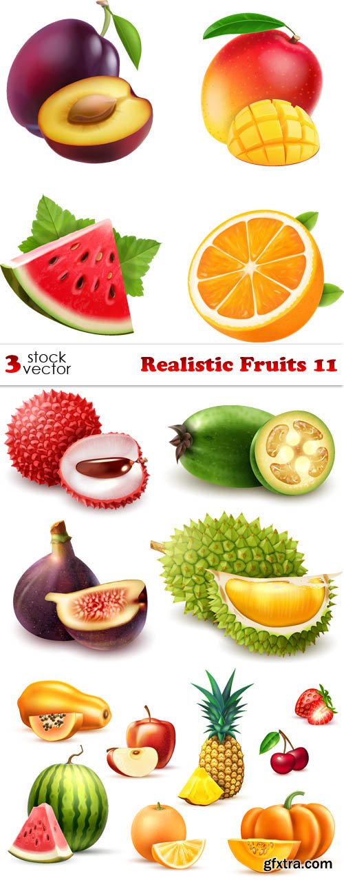 Vectors - Realistic Fruits 11