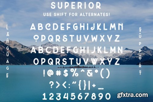 Superior Font Family - 6 Fonts