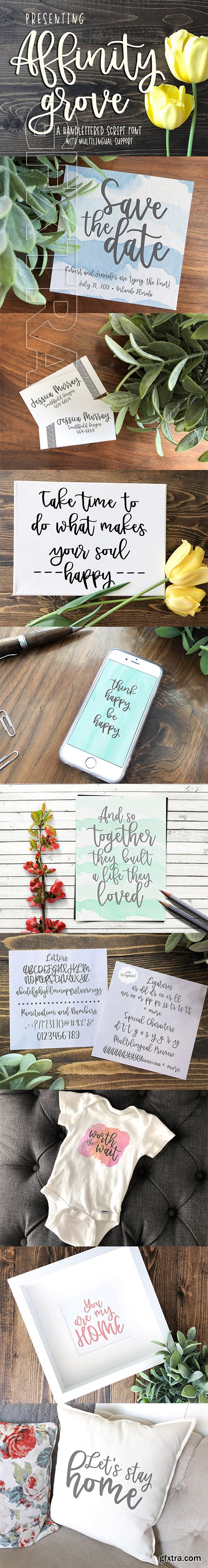 CreativeMarket - Affinity Grove Script 2582111