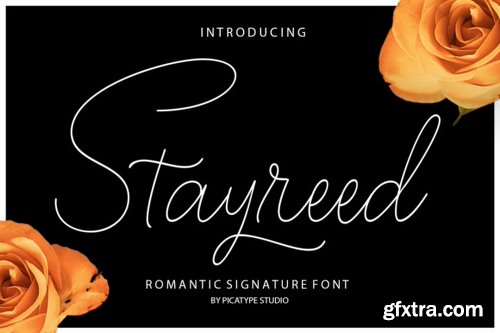 Stayreed Font