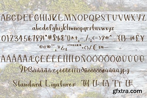 CM - Dylan - A Handwritten Serif Font 2523800