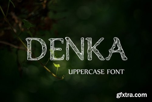 Denka Font