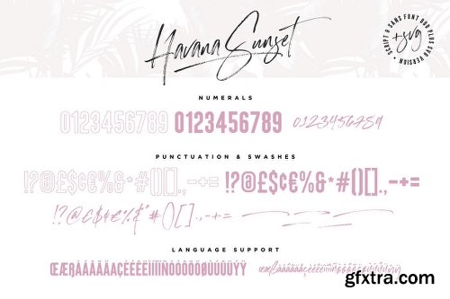 Havana Sunset Font Family - 4 Fonts