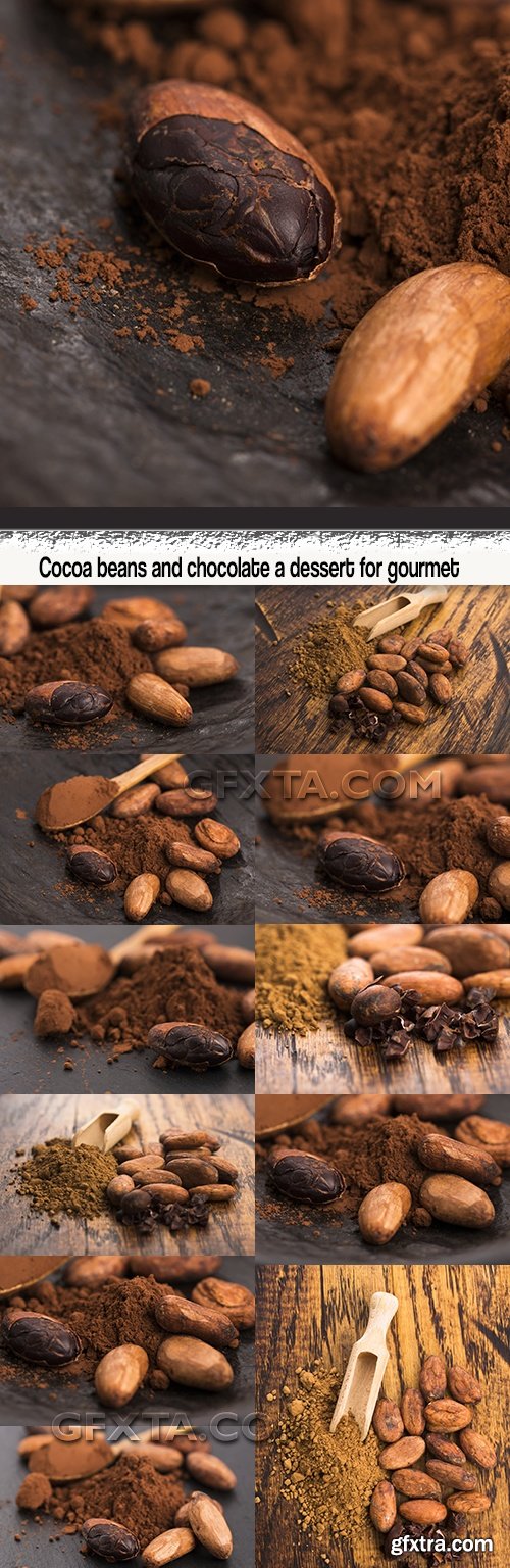 Cocoa beans and chocolate a dessert for gourmet