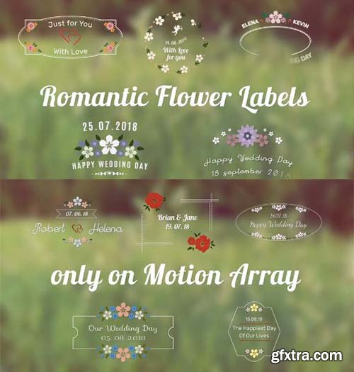 Romantic Flower Label - After Effects 84400