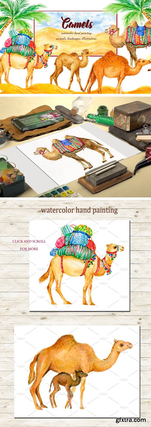 CM - Camels. Watercolor Illustrations 2396110