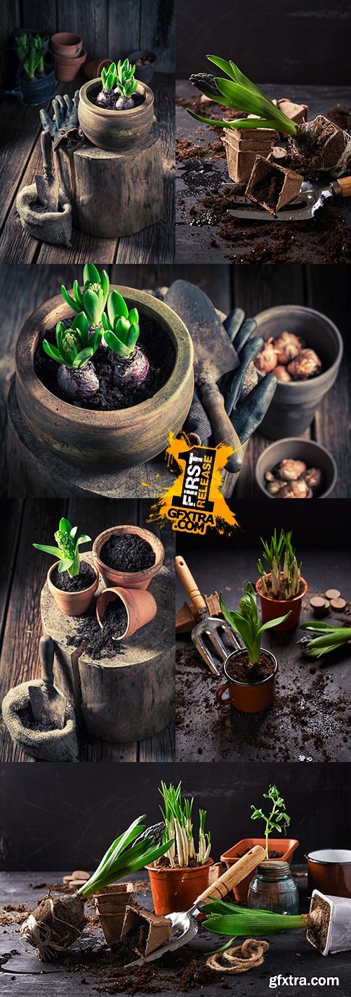 Flowerpot and garden stock favourite hobby