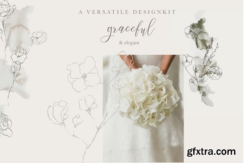 CM - Graceful Floral Illustrations Bundle 2491311