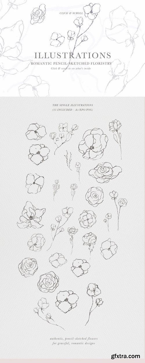 CM - Graceful Floral Illustrations Bundle 2491311