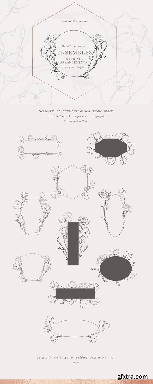 CM - Graceful Floral Illustrations Bundle 2491311