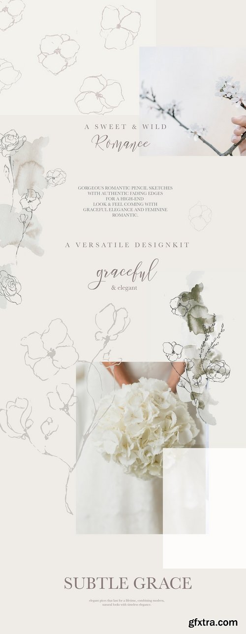 CM - Graceful Floral Illustrations Bundle 2491311