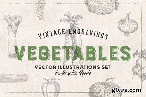 Vegetables - Vintage Illustration Set