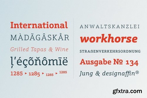 Schnebel Slab Font Family