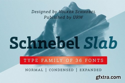 Schnebel Slab Font Family