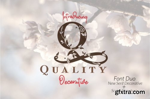 Quality Font Family - 4 Fonts