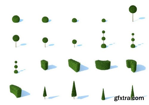 HD Trees Vol 3 for Cinema4D