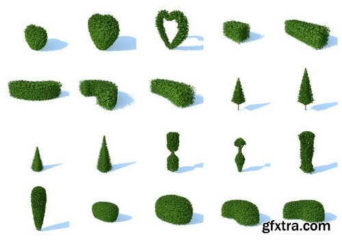 HD Trees Vol 3 for Cinema4D