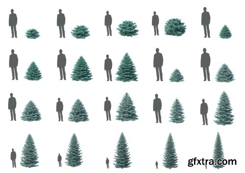 HD Trees Vol 6 for Cinema4D