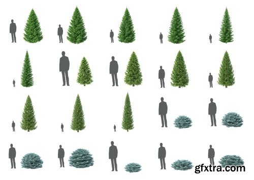 HD Trees Vol 6 for Cinema4D