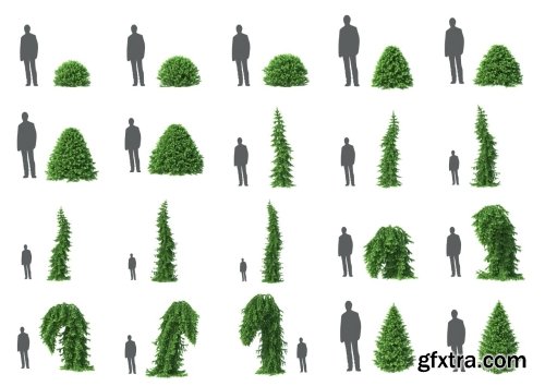 HD Trees Vol 6 for Cinema4D