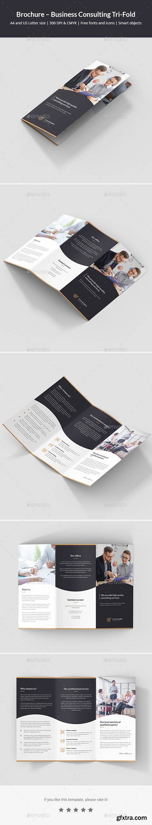 Brochure – Business Consulting Tri-Fold 22015194