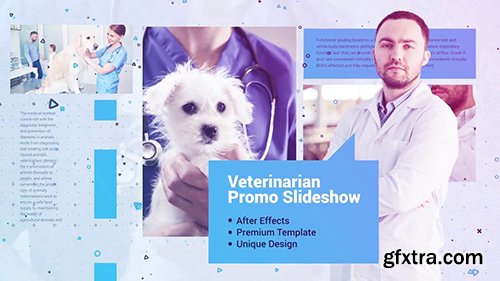 Veterinarian Promo Slideshow 87863