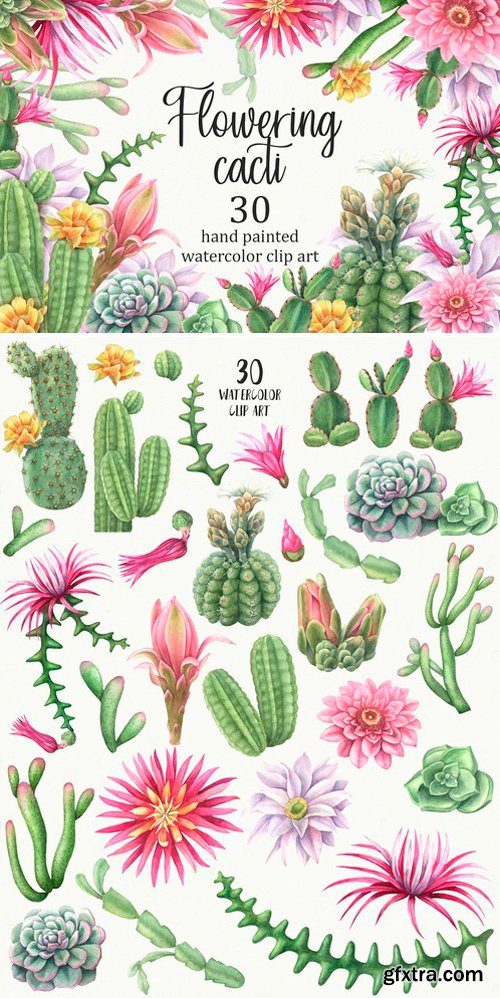 CM - Watercolor flowering cacti 2517486