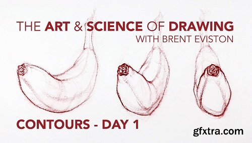 The Art & Science of Drawing: Contours: Day 1