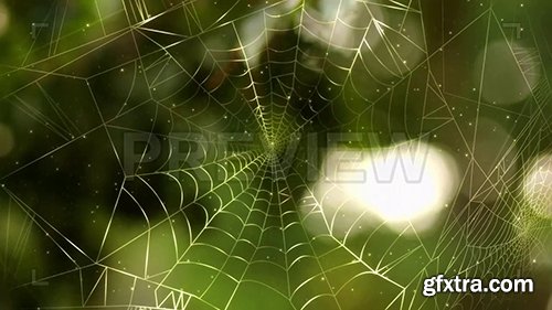 Spider Web Background Pack 86655