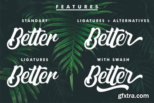 Matane Font Family - 2 Fonts