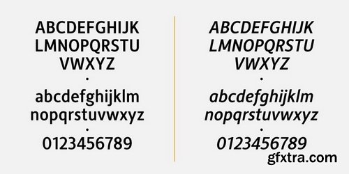 Alber New Font Family