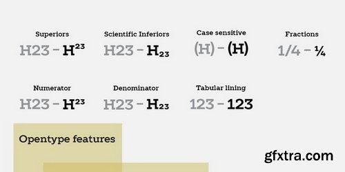 TT Slabs Font Family