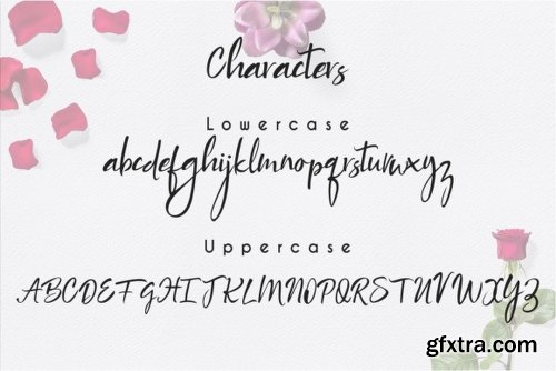 Brides Story Font Family - 2 Fonts