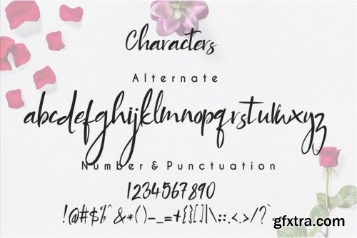 Brides Story Font Family - 2 Fonts