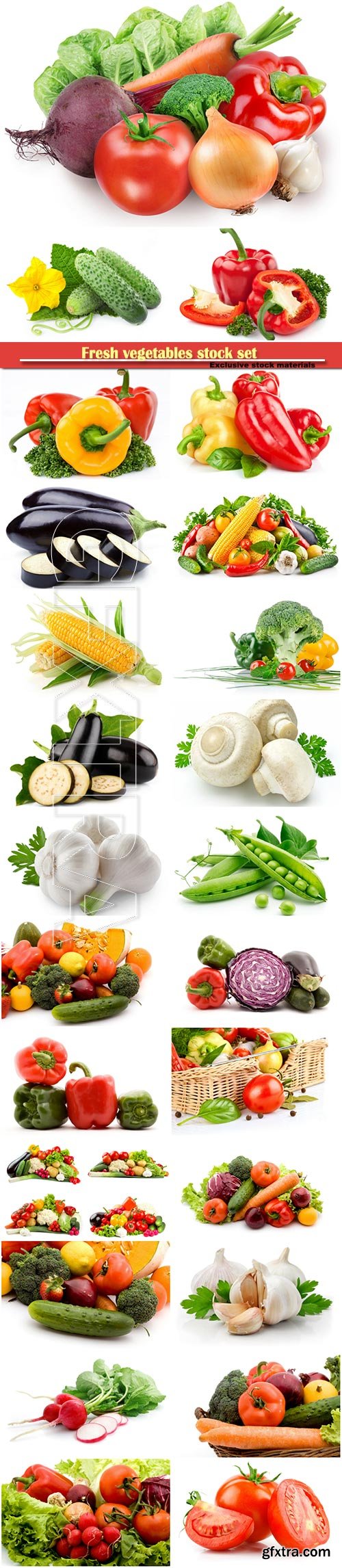 Fresh vegetables stock set