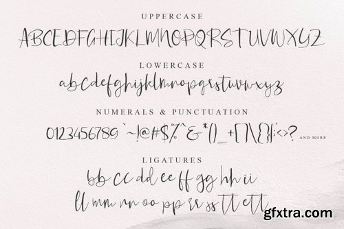 Rossetta Font