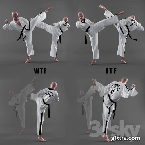 Form of taekwondo 3d Model