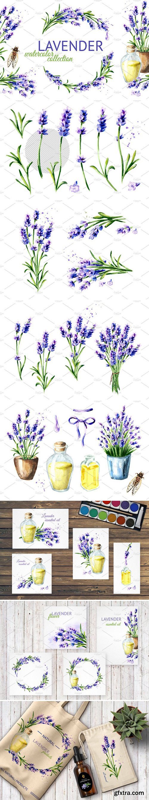 CM - LAVENDER. Watercolor collection 2428832