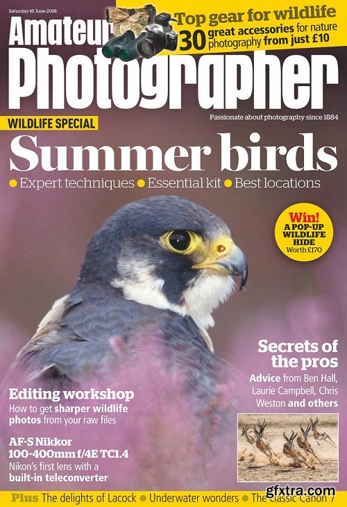 Amateur Photographer - 16 June 2018