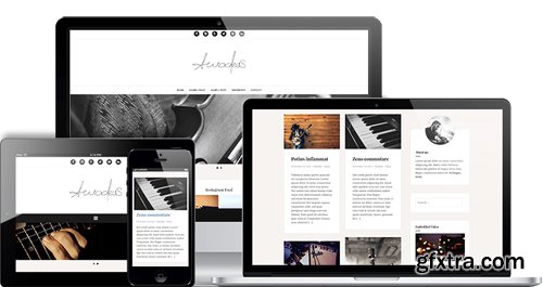 ThemeIsle - Amadeus Pro v1.6.0 - Premium WordPress Blogging Theme