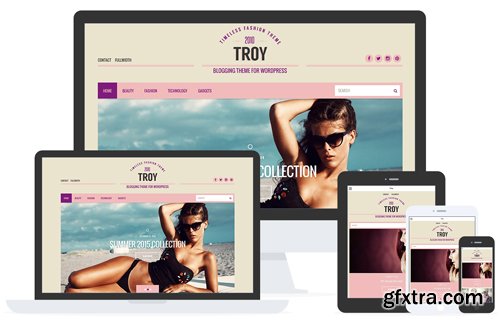 CSSIgniter - Troy v2.5 - WordPress Theme