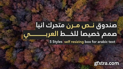 Videohive Arabic Stories 21994116