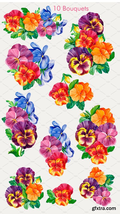 CM - Colored Pansies Flowers 2511868