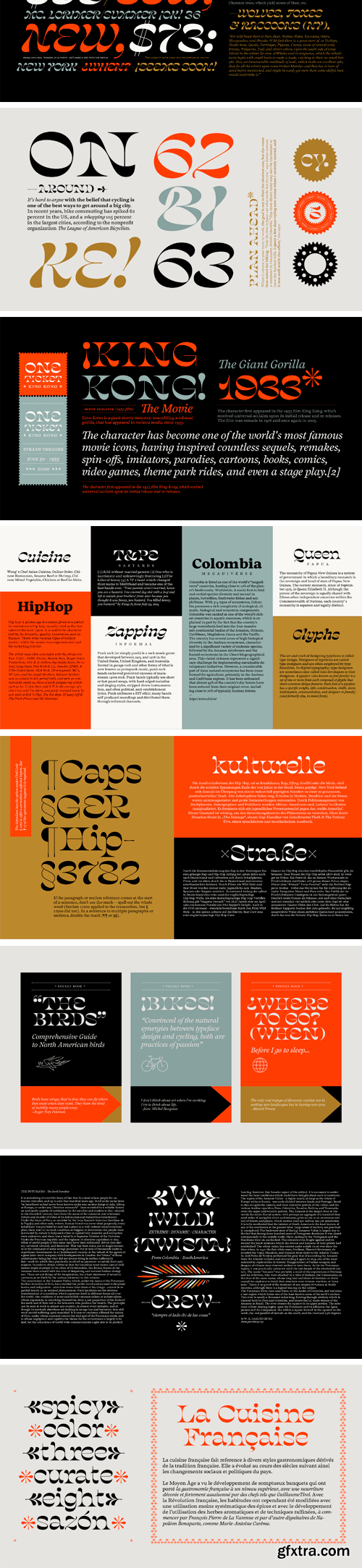 Salvaje Display Font Family