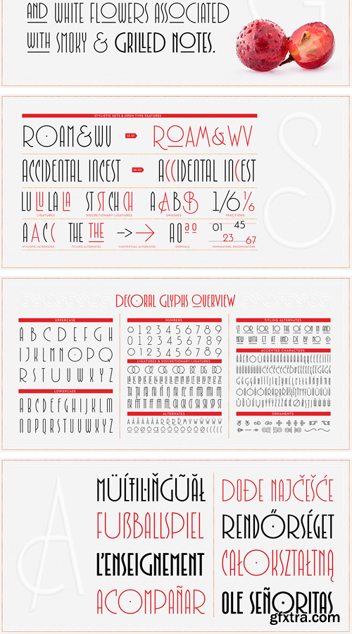 Decoral Font Family