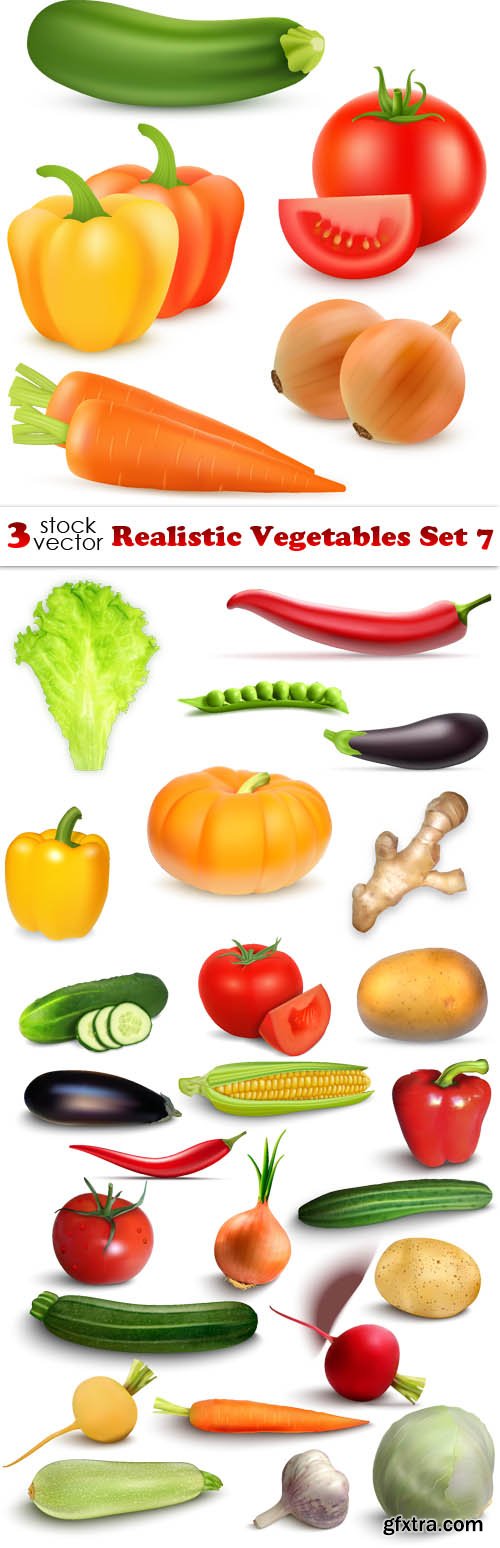 Vectors - Realistic Vegetables Set 7