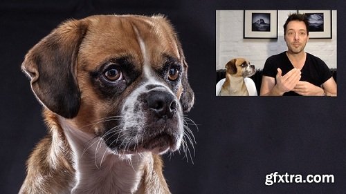 Pet Photography Masterclass