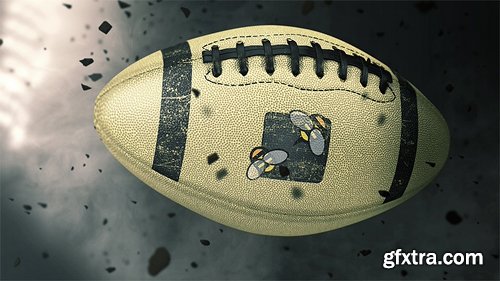 Videohive American Football Logo Reveals 19964589