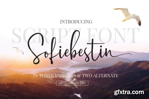 Sofiebestin Script Font Family - 6 Fonts