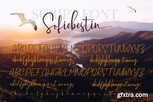 Sofiebestin Script Font Family - 6 Fonts